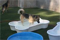 daycare pic 85 - pool time